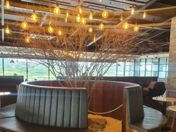 숨겨진 보석 같은 경산 힐링 카페, PARA: 진량공단 맛집의 대반전!