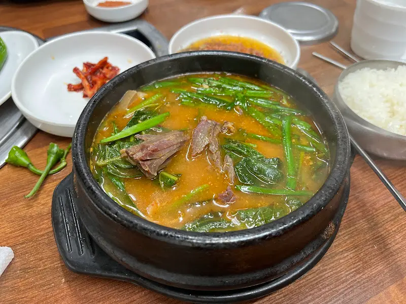 흑염소탕 한 그릇 뚝딱