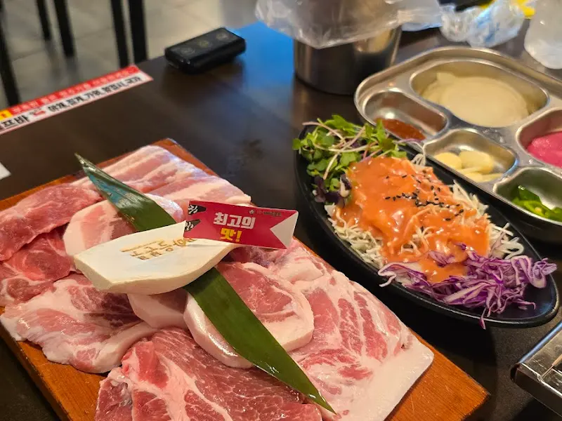 돼지새마을본부의 C세트