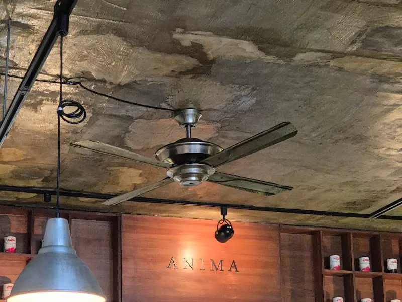 아니마 천장 인테리어