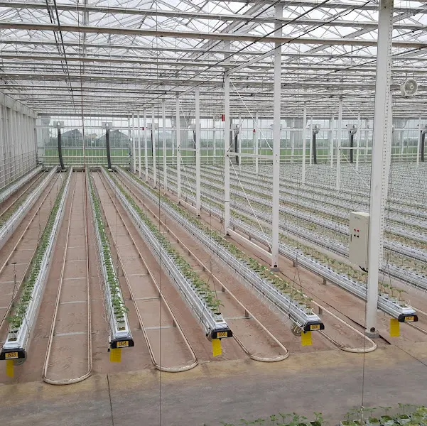 드넓은 농장의 모습