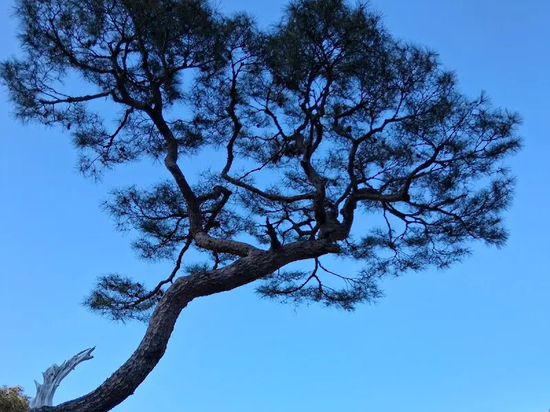 묘운 주변 풍경