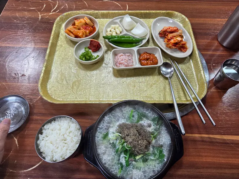 돼지 모듬 클로즈업