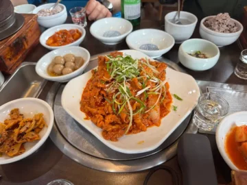 소박한 풍경 속 빛나는 밥맛, 옥천에서 만난 정갈한 한식 맛집
