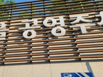 숨겨진 보석 같은 용인 맛집, 오늘 메뉴는 뭘까? 진짜 레전드!