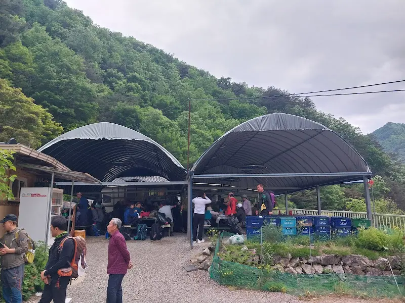 많은 사람들이 식사를 즐기기 위해 방문한다.