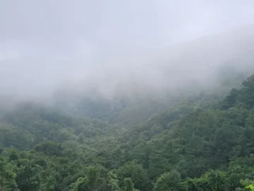 구름 위를 걷는 듯한 황홀경, 창녕 천왕재 숨은 뷰 맛집에서 맛본 신선놀음