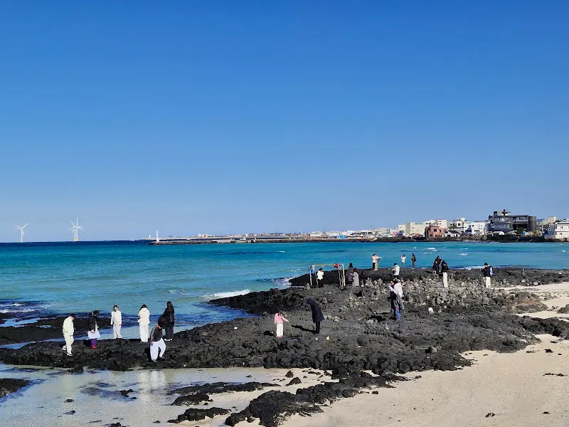 협재 해변의 사람들