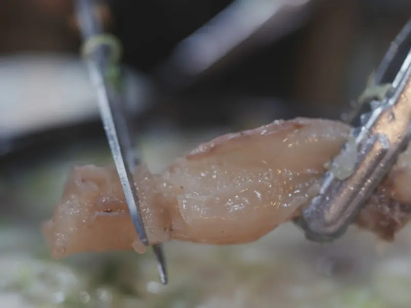 도가니 확대 사진