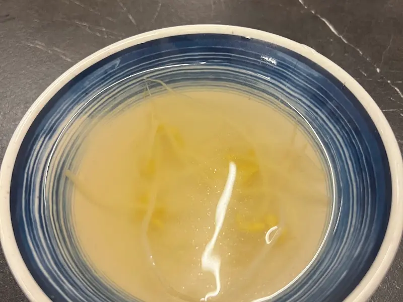 시원한 콩나물국