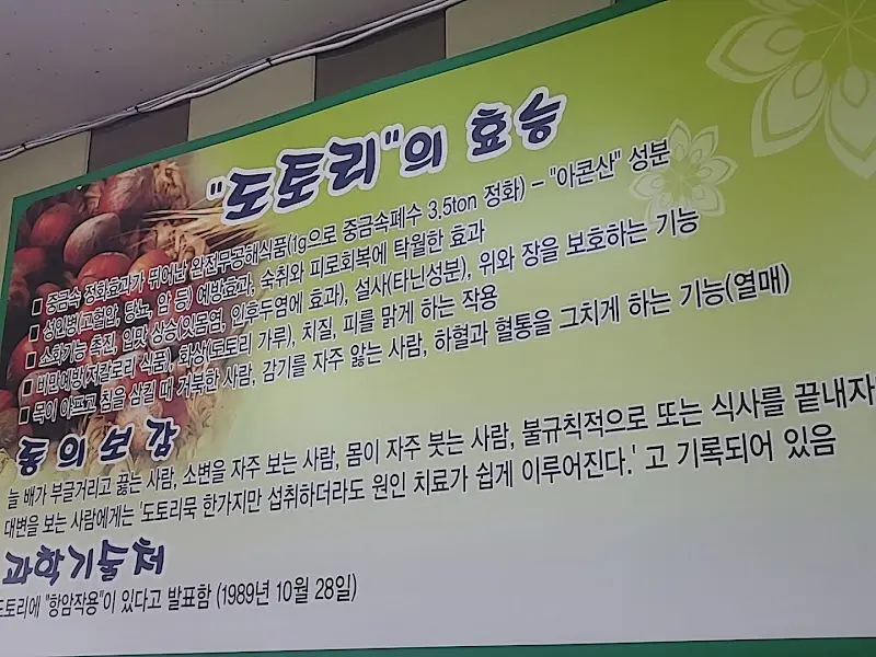 도토리 효능 안내문