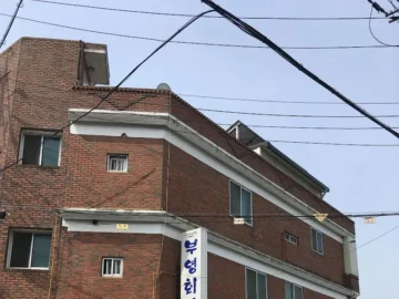 장성 찐 주민들만 아는 숨은 보석, 부영회관에서 맛보는 전설의 향토음식 맛집