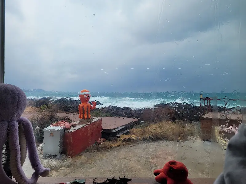 비오는 날 창밖으로 보이는 바다 풍경