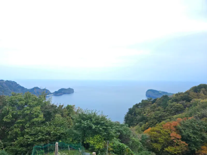 바다가 보이는 족욕 카페