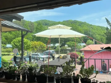 진안 백숙, 이공한방백숙에서 맛보는 진짜 레전드 보양식 여행 맛집