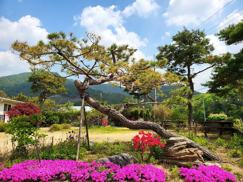 아름다운 정원 풍경