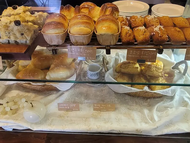 다양한 빵 종류
