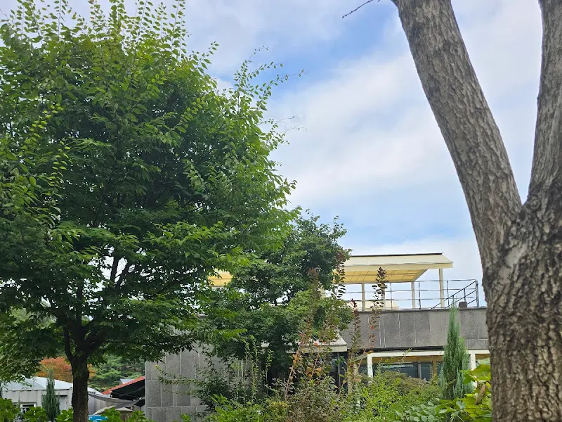 루프탑에서 바라본 풍경