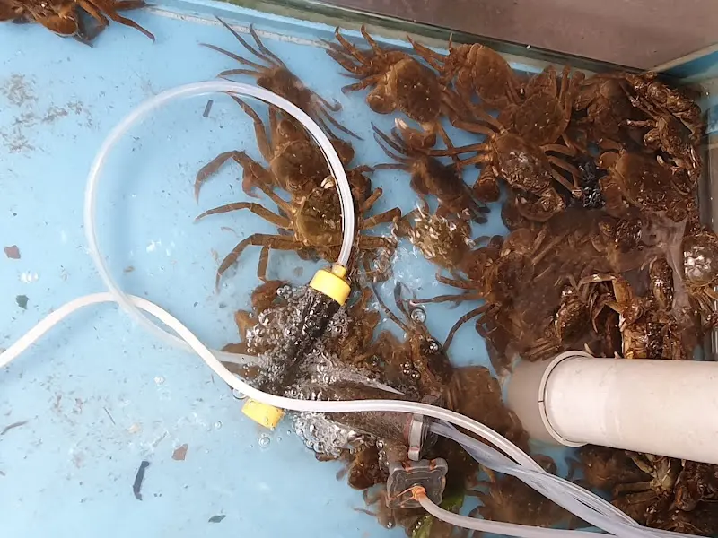 수족관 속의 물고기들