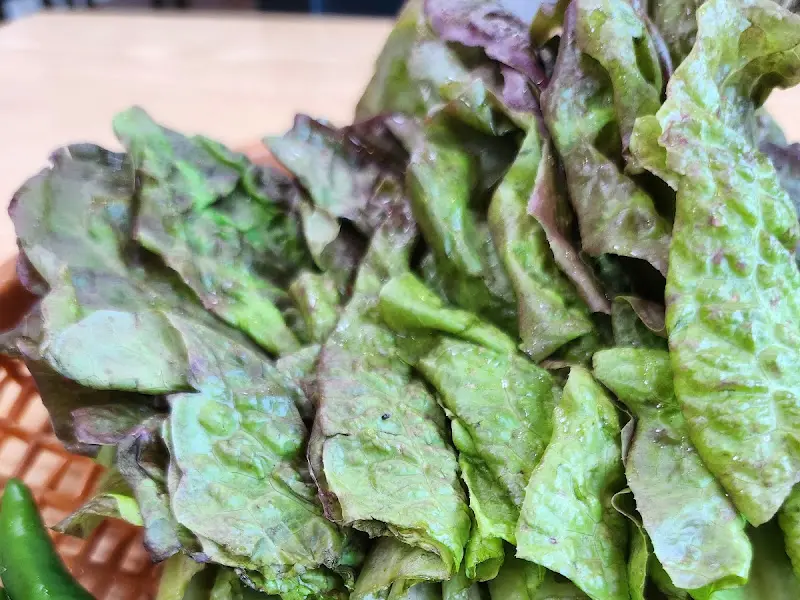 싱싱한 쌈 채소