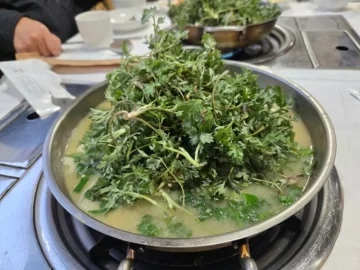 고즈넉한 정취와 풍요로운 풍미, 정읍에서 만난 산촌자연밥상 맛집 기행