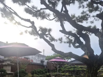 순창에서 만난 고택의 아늑함, 한정당에서 펼쳐지는 미각 실험 맛집