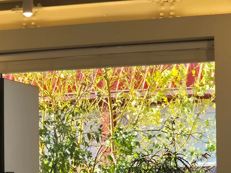 창밖으로 보이는 푸른 잎