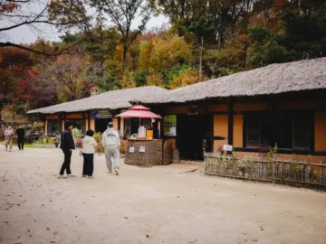수락산 자락, 고즈넉한 풍경 속 남양주 유기농 쌈밥 맛집 목향원에서 맛보는 풍요로운 한 끼