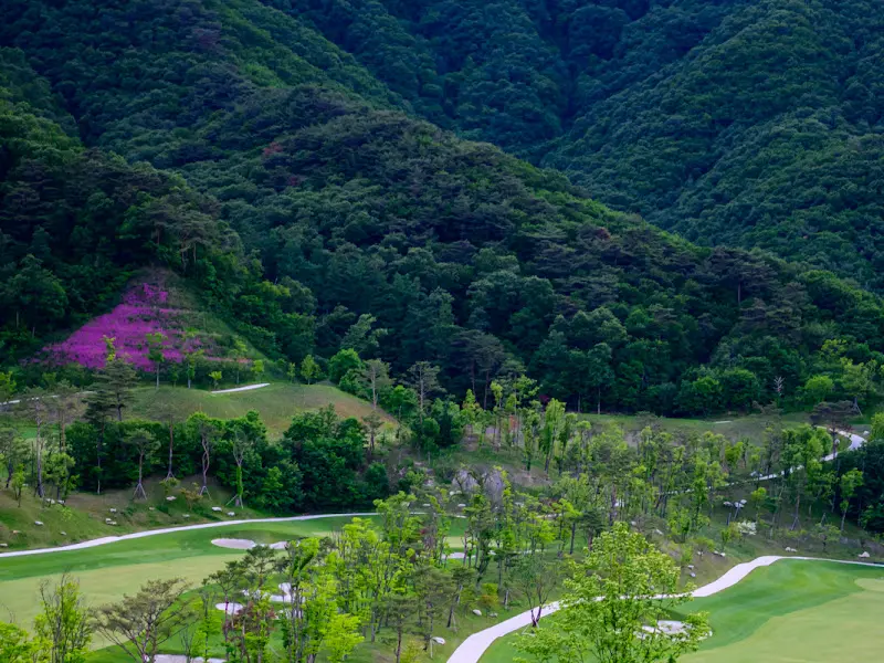 골프장 전경
