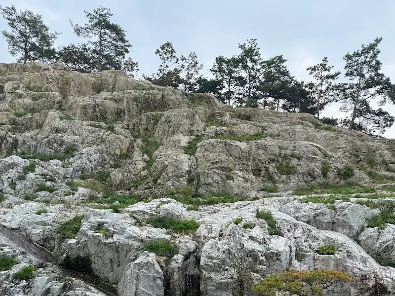 레스토랑 외부 풍경