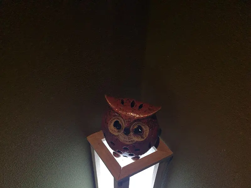 카운터 위의 부엉이 장식