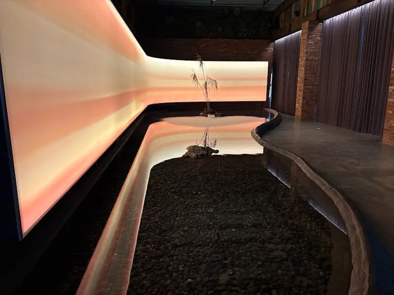 바리루스 미디어 아트