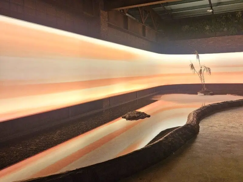 바리루스 내부 전경