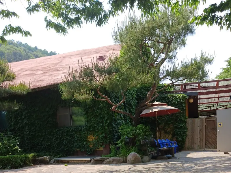 담쟁이 덩굴로 뒤덮인 들풀의 외관