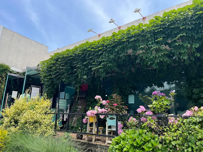 담쟁이 덩굴로 뒤덮인 송경의 외관