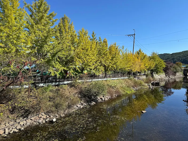 식당 주변 풍경