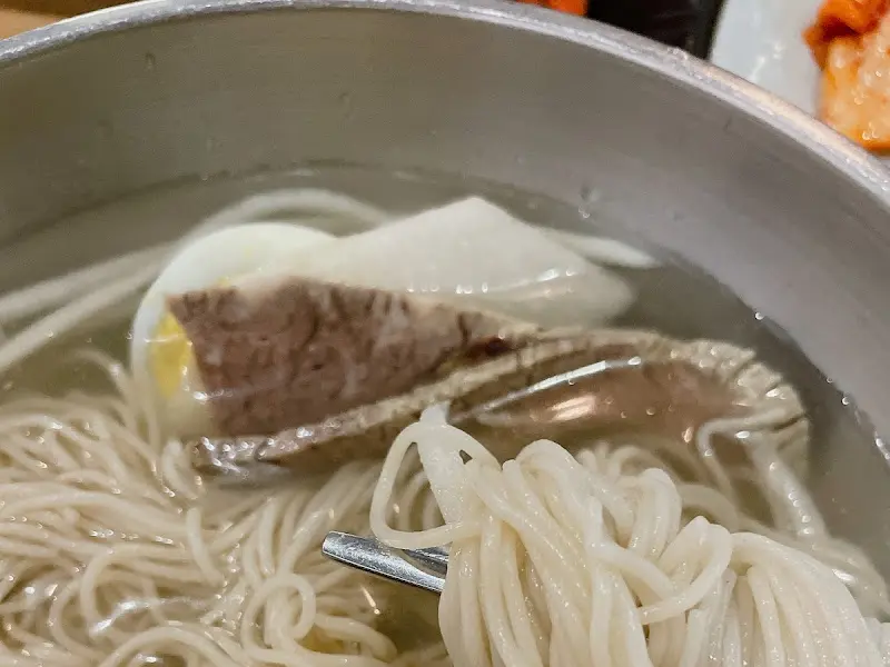 기성면옥 물냉면 클로즈업