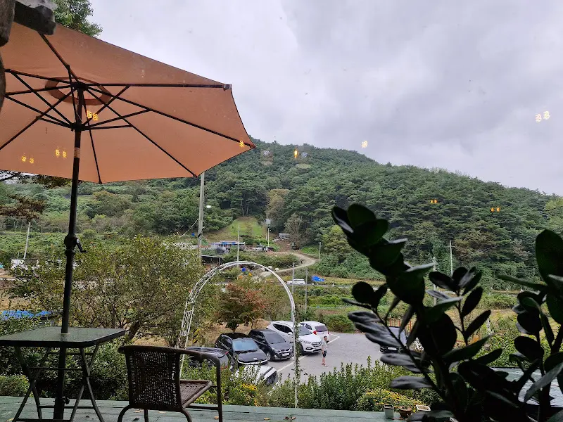 창밖으로 보이는 아름다운 자연 풍경