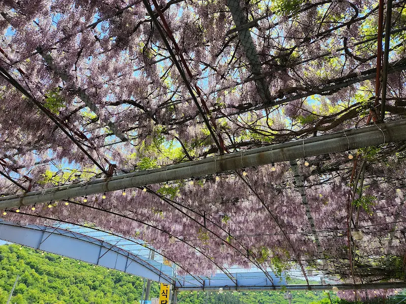 등나무 아래 식당 전경