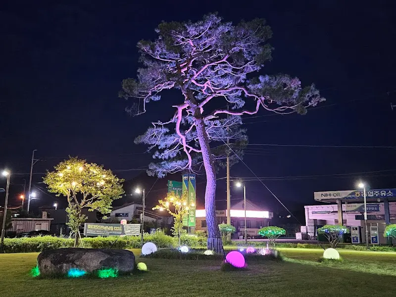 밤하늘 아래 빛나는 풍경