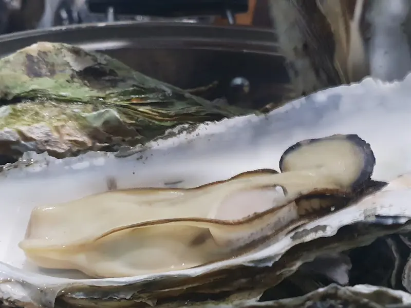 굴의 섬세한 자태