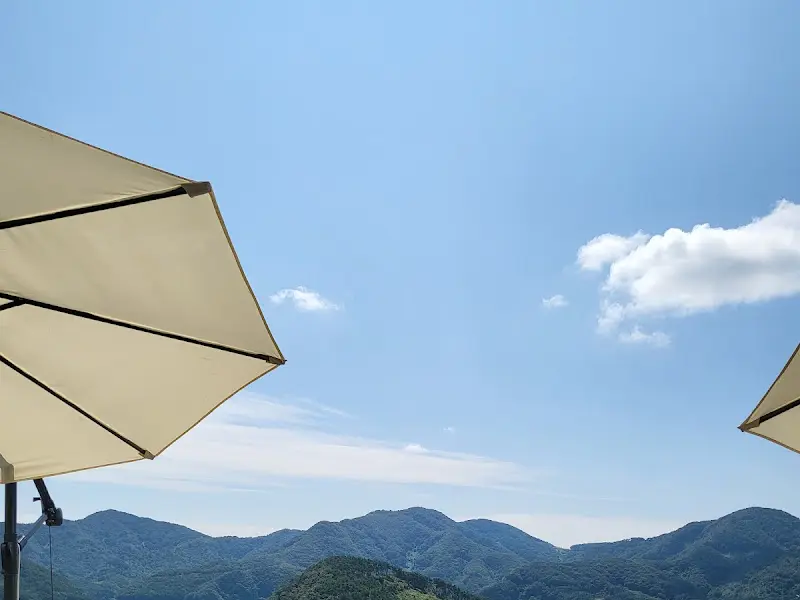 하늘을 향해 뻗은 파라솔과 산 능선