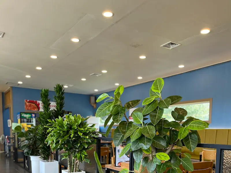 싱그러운 화분 인테리어