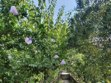 도봉산 자락, 정겨운 손맛이 숨 쉬는 양고기 골목 맛집 순례기