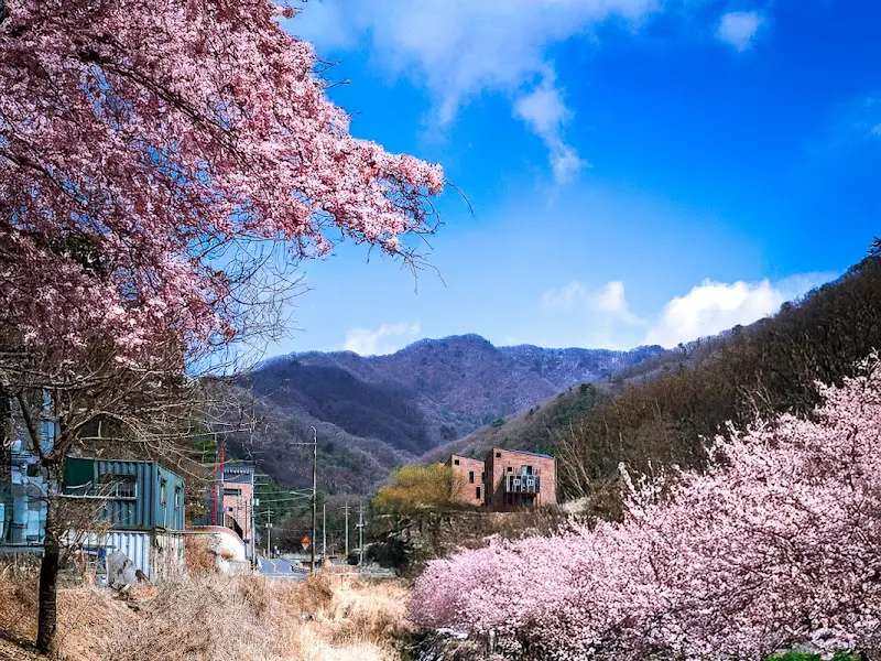 산속비버스 BBQ 주변 풍경