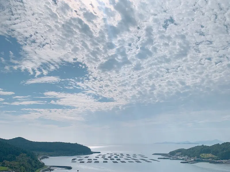 청산도 바다 풍경