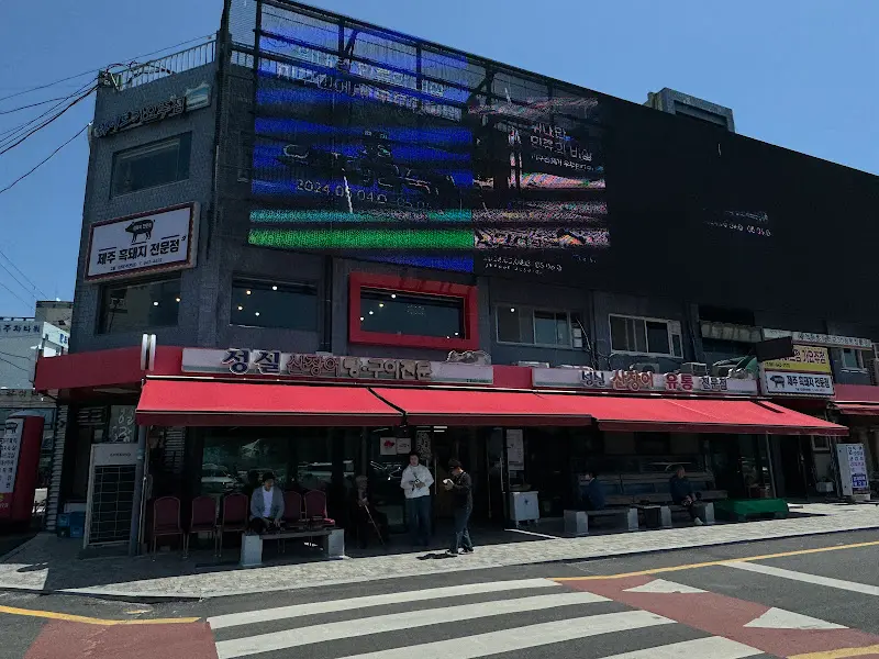 성실신장어 외관