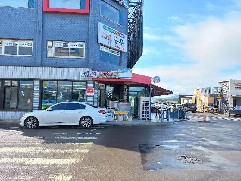 성실신장어 전경