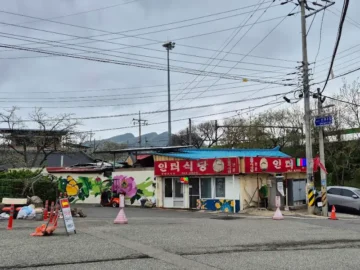 황간 시골의 정취, 인터식당 올뱅이국에서 찾은 고향의 맛집 향수