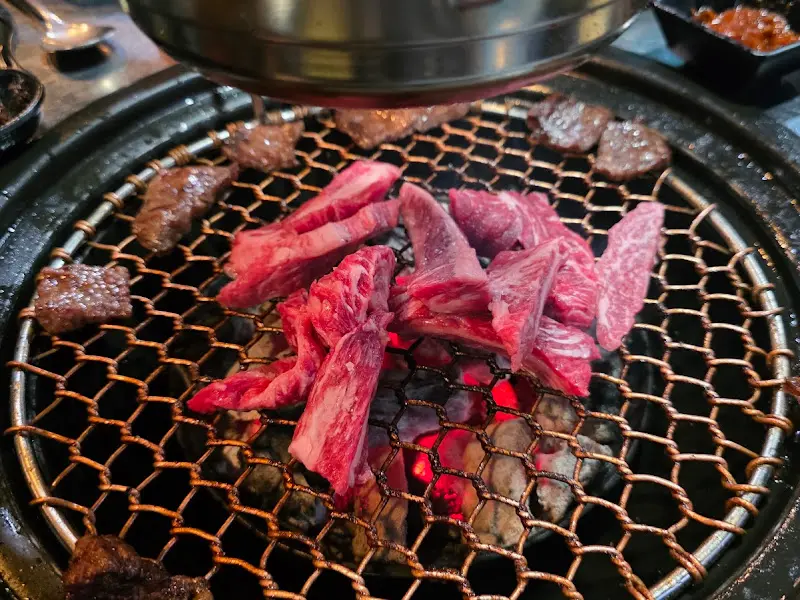 숯불에 구워 먹는 소고기